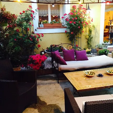 Chez Martine Cote Jardin Appartement Carcassonne